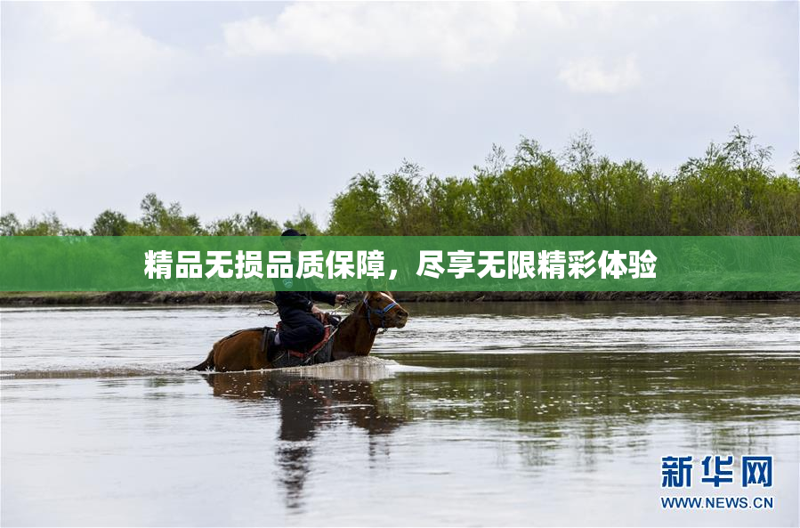 精品无损品质保障，尽享无限精彩体验