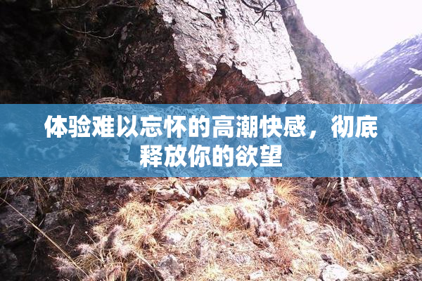体验难以忘怀的高潮快感，彻底释放你的欲望