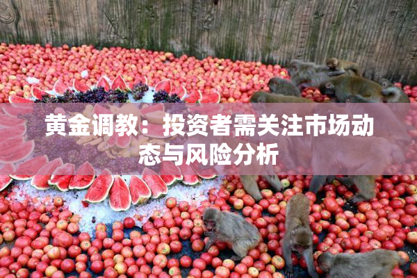 黄金调教：投资者需关注市场动态与风险分析