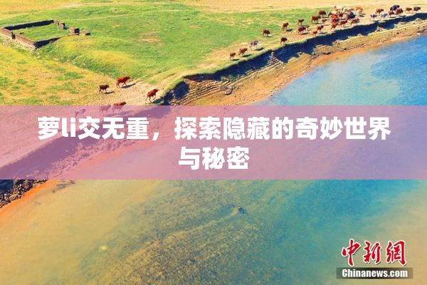 萝li交无重，探索隐藏的奇妙世界与秘密