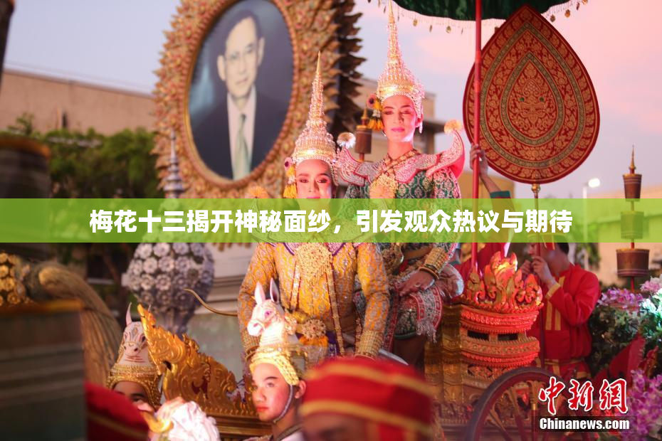 梅花十三揭开神秘面纱，引发观众热议与期待