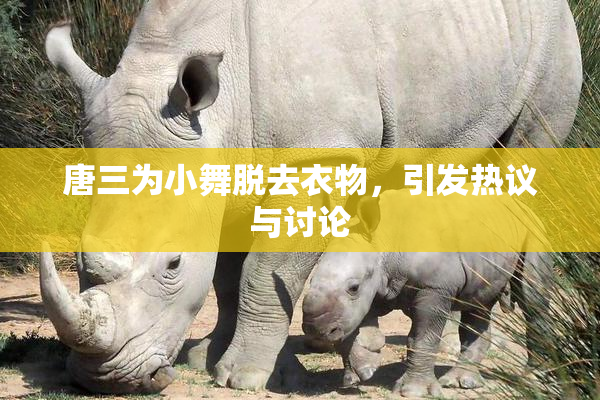 唐三为小舞脱去衣物，引发热议与讨论
