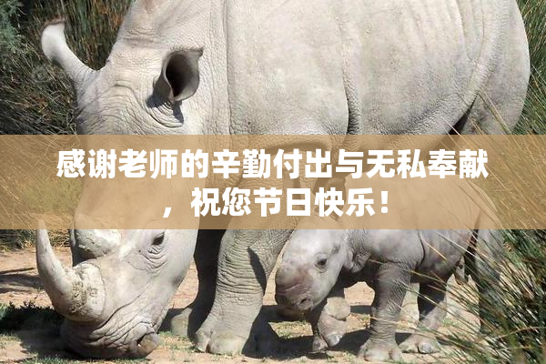 感谢老师的辛勤付出与无私奉献，祝您节日快乐！