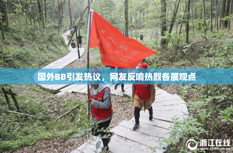 国外BB引发热议，网友反响热烈各展观点