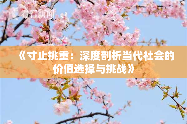 《寸止挑重：深度剖析当代社会的价值选择与挑战》
