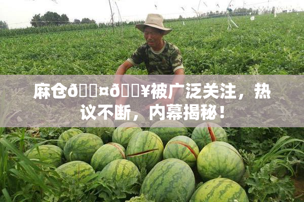 麻仓🖤🔥被广泛关注，热议不断，内幕揭秘！