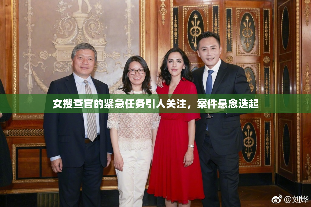 女搜查官的紧急任务引人关注，案件悬念迭起