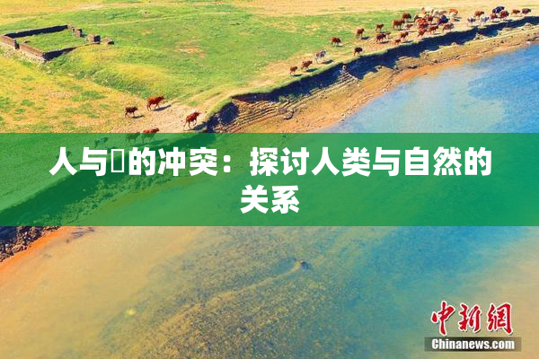 人与嘼的冲突：探讨人类与自然的关系