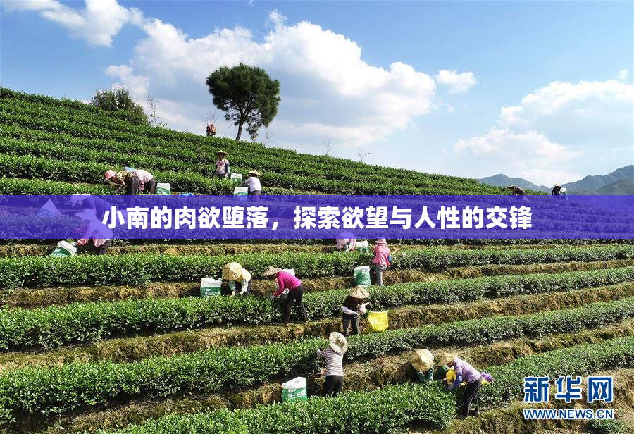 小南的肉欲堕落，探索欲望与人性的交锋