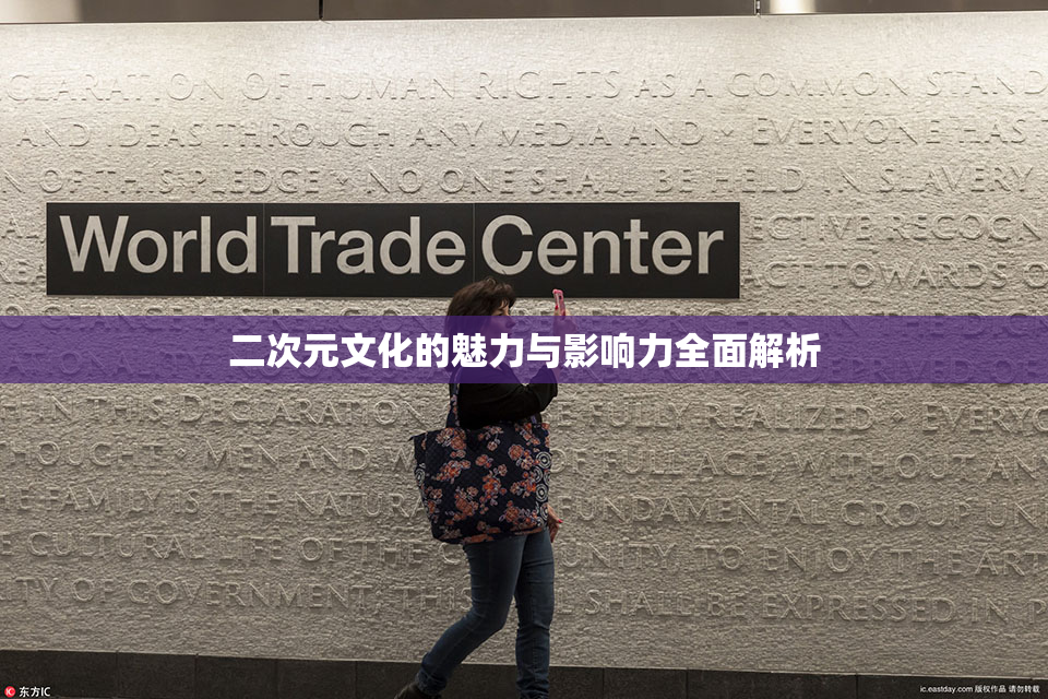 二次元文化的魅力与影响力全面解析