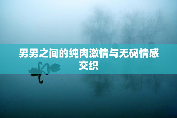 男男之间的纯肉激情与无码情感交织