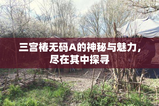 三宫椿无码A的神秘与魅力，尽在其中探寻