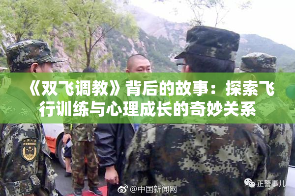 《双飞调教》背后的故事：探索飞行训练与心理成长的奇妙关系