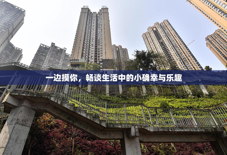 一边摸你，畅谈生活中的小确幸与乐趣