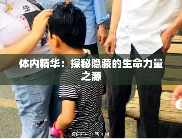 体内精华：探秘隐藏的生命力量之源