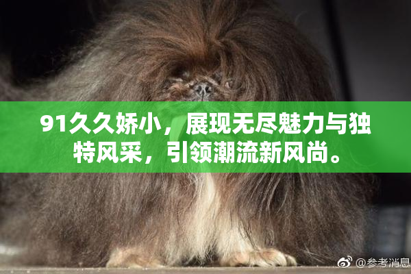 91久久娇小，展现无尽魅力与独特风采，引领潮流新风尚。