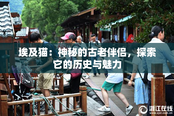 埃及猫：神秘的古老伴侣，探索它的历史与魅力
