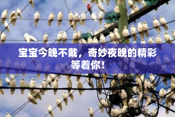 宝宝今晚不戴，奇妙夜晚的精彩等着你！