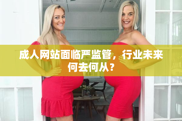 成人网站面临严监管，行业未来何去何从？