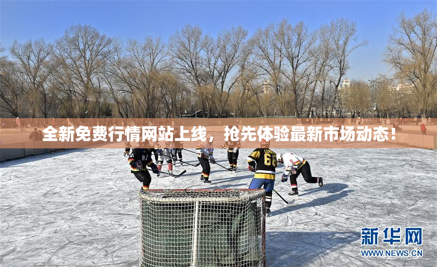 全新免费行情网站上线，抢先体验最新市场动态！