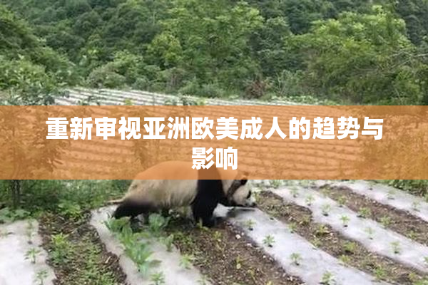 重新审视亚洲欧美成人的趋势与影响