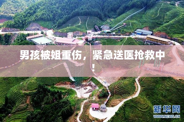 男孩被姐重伤，紧急送医抢救中！