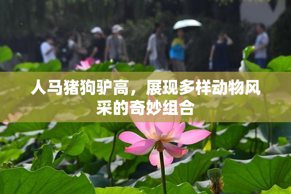 人马猪狗驴高，展现多样动物风采的奇妙组合