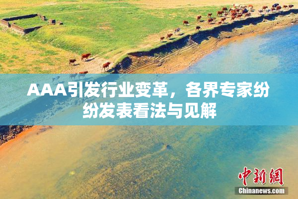 AAA引发行业变革，各界专家纷纷发表看法与见解