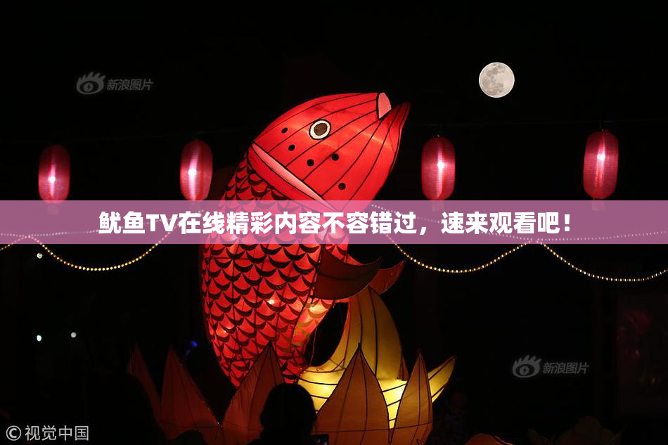 鱿鱼TV在线精彩内容不容错过，速来观看吧！