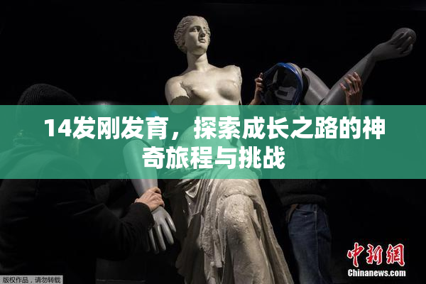 14发刚发育，探索成长之路的神奇旅程与挑战