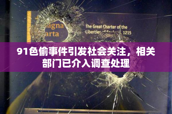 91色偷事件引发社会关注，相关部门已介入调查处理