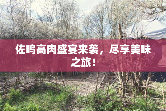 佐鸣高肉盛宴来袭，尽享美味之旅！