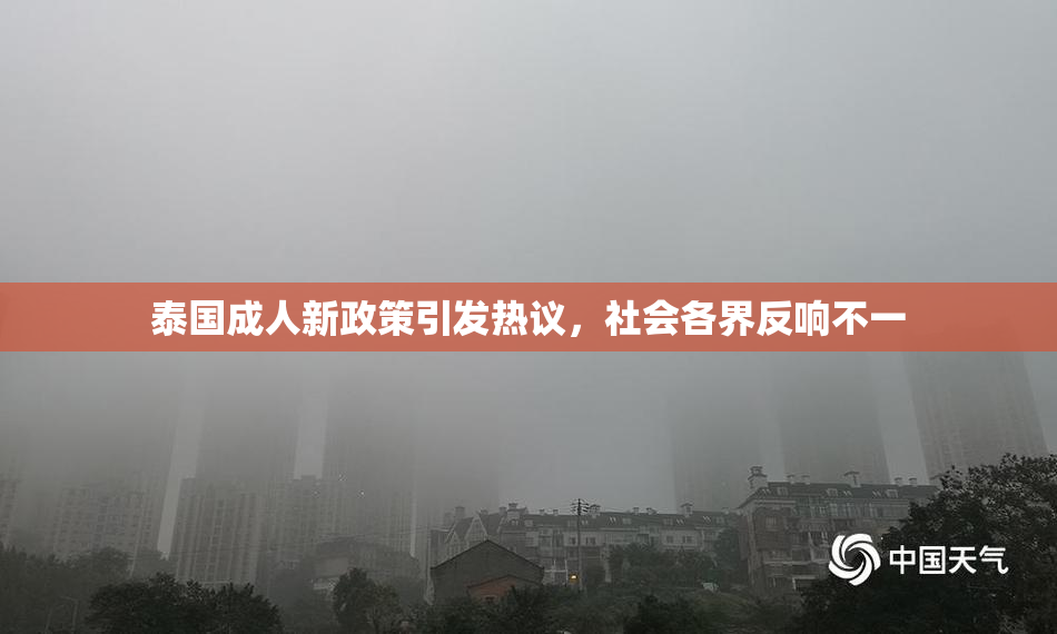 泰国成人新政策引发热议，社会各界反响不一