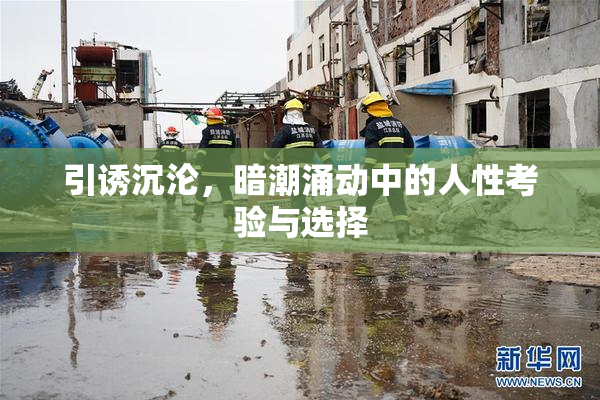 引诱沉沦，暗潮涌动中的人性考验与选择