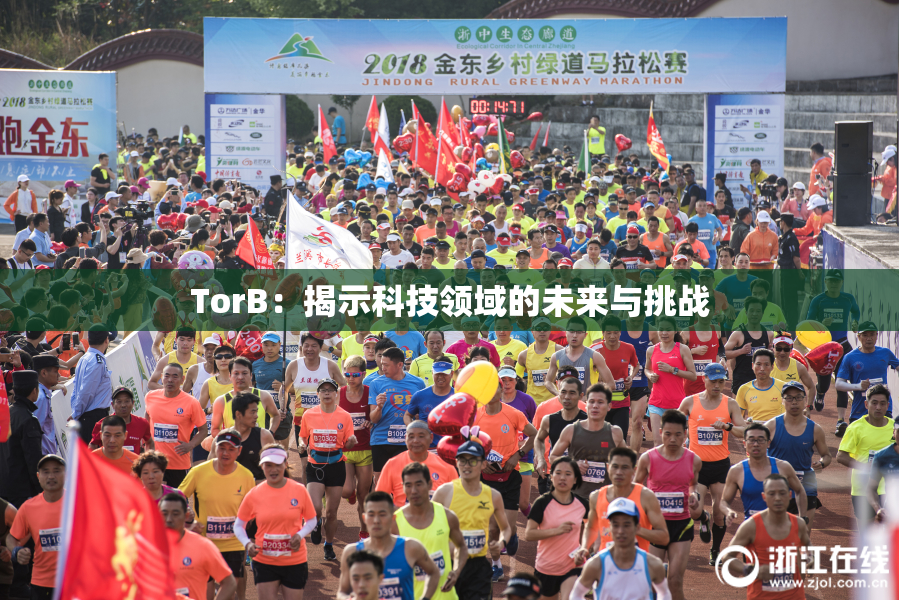 TorB：揭示科技领域的未来与挑战