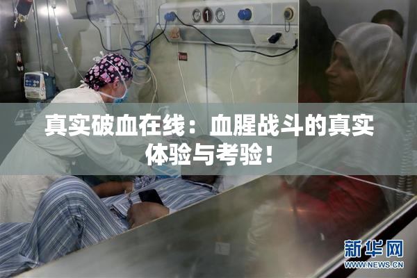 真实破血在线：血腥战斗的真实体验与考验！