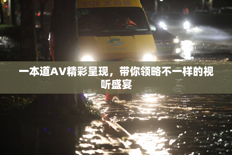 一本道AV精彩呈现，带你领略不一样的视听盛宴