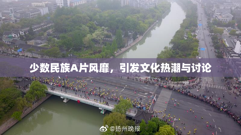 少数民族A片风靡，引发文化热潮与讨论
