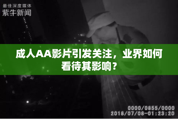 成人AA影片引发关注，业界如何看待其影响？