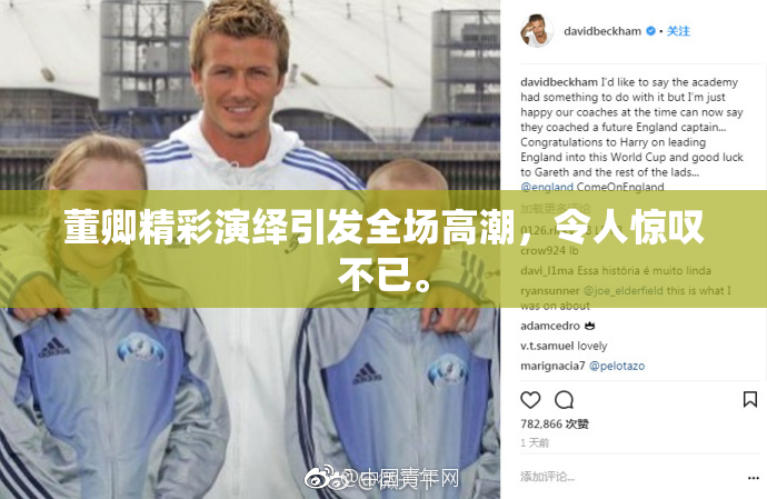 董卿精彩演绎引发全场高潮，令人惊叹不已。