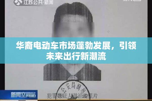 华裔电动车市场蓬勃发展，引领未来出行新潮流
