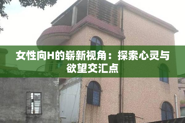 女性向H的崭新视角：探索心灵与欲望交汇点