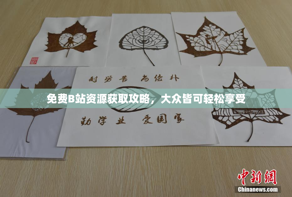 免费B站资源获取攻略，大众皆可轻松享受