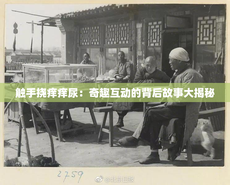 触手挠痒痒尿：奇趣互动的背后故事大揭秘