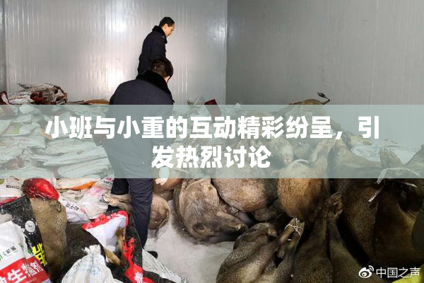 小班与小重的互动精彩纷呈，引发热烈讨论