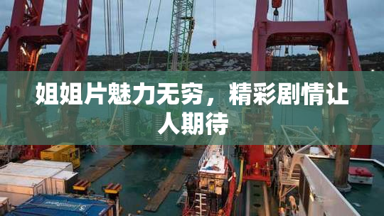 姐姐片魅力无穷，精彩剧情让人期待