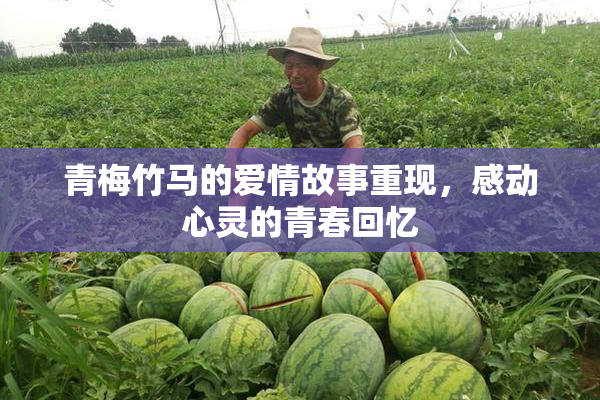 青梅竹马的爱情故事重现，感动心灵的青春回忆
