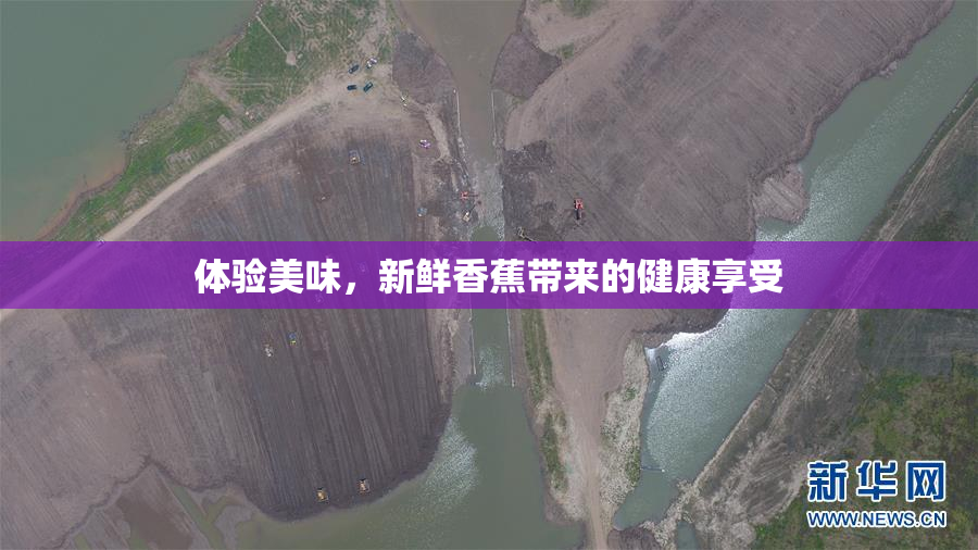 体验美味，新鲜香蕉带来的健康享受