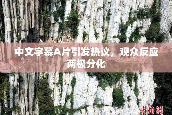 中文字幕A片引发热议，观众反应两极分化