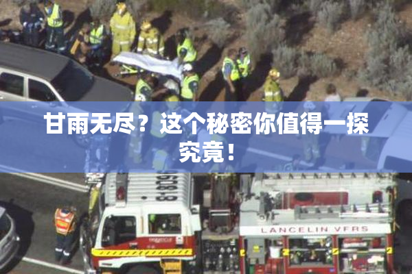 甘雨无尽？这个秘密你值得一探究竟！